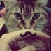 swagger jagger (@lolmuffincats) Twitter profile photo swagger jagger (@lolmuffincats) Twitter profile photo