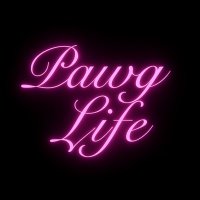 PawgLife (@pawglife_) 's Twitter Profile