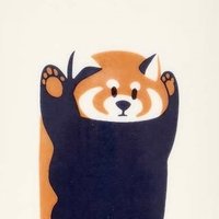 ぱんだ☺︎初マタ33w🎀 (@pandacm777) 's Twitter Profile