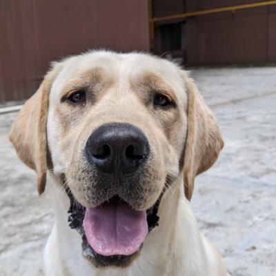 Andi792567Andi's profile picture. 