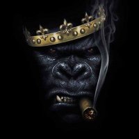 @54 (@ngowdaam81428) 's Twitter Profile