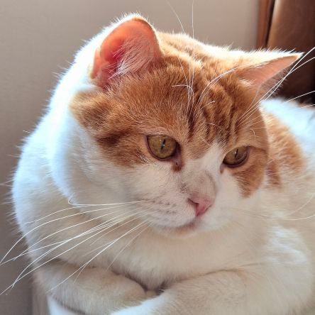 jrnpaloy's profile picture. 