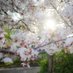 ã転çããŸããâïžãåºåŒµãã©ãã°ã©ãã¡ãŒð·TJ (@7studio_shibuya) Twitter profile photo ã転çããŸããâïžãåºåŒµãã©ãã°ã©ãã¡ãŒð·TJ (@7studio_shibuya) Twitter profile photo