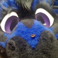 SebbySpresso, The Feine Bean, NOT A NEWT 🔜FWA (@sebbyspresso) 's Twitter Profile Photo SebbySpresso, The Feine Bean, NOT A NEWT 🔜FWA (@sebbyspresso) 's Twitter Profile Photo