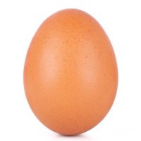날달걀 (@a_ll_egg) 's Twitter Profile