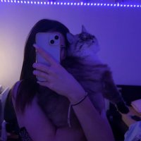 nπ (@n32lzrzrrr) 's Twitter Profile