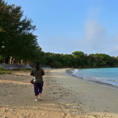 Kasanorigaeru's profile picture. ハジラミとウモウダニ、都市鳥とカサノリを調べつつ、一旦教免取ろうと単位集めしながら仕事。いつか沖縄に移住したい。 鳥の死骸や外部寄生虫見つけたら送ると喜びますヽ(*＾ω＾*)ﾉ