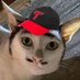 𝟰𝟮𝗯 (@42bl8) Twitter profile photo 𝟰𝟮𝗯 (@42bl8) Twitter profile photo