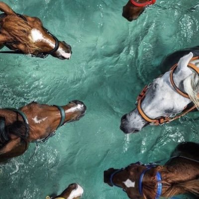 mishary___27's profile picture. 