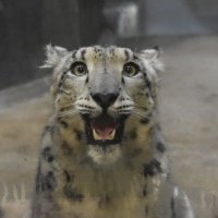 Sneppler (@sneppler) 's Twitter Profile Photo Sneppler (@sneppler) 's Twitter Profile Photo
