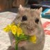 autism cat (@hwngbun) Twitter profile photo autism cat (@hwngbun) Twitter profile photo