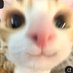 abby (@1d0ntknoww) Twitter profile photo abby (@1d0ntknoww) Twitter profile photo