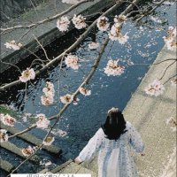 趨勢 (@sd0ut1uh8393428) 's Twitter Profile