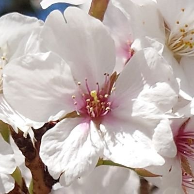 けてうさんのプロフィール画像