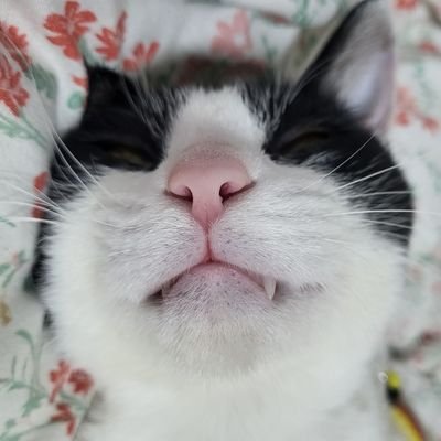 매리さんのプロフィール画像