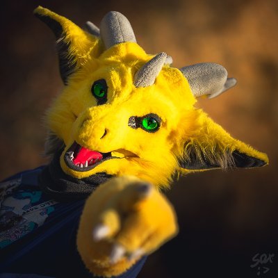 Krypton Mustard Dergさんのプロフィール画像