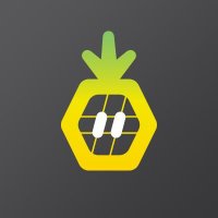 Pineapple Works π (@pineapple_works) 's Twitter Profile