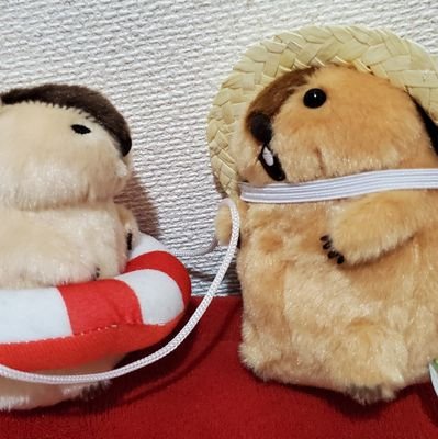 しんな⚖️さんのプロフィール画像