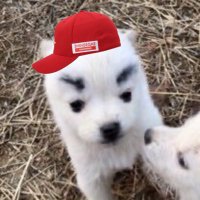 깨똥이 (@wyvernsk29) 's Twitter Profile Photo 깨똥이 (@wyvernsk29) 's Twitter Profile Photo
