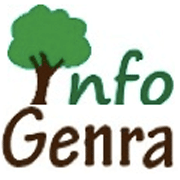 InfoGenra covers a wide range of news ranging from technology, blogging to social media.