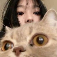 ً (@pukppies) 's Twitter Profile Photo