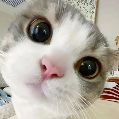 забута шишечка🌰さんのプロフィール画像