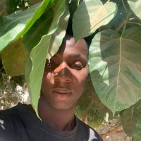 Momodou Jallow (@jallow_mom89553) 's Twitter Profile