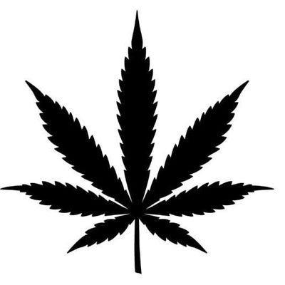 Sheryar19017645's profile picture. 