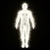 Licht (@_jibo_la) Twitter profile photo Licht (@_jibo_la) Twitter profile photo