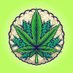 BlOOM HAVEN DISPENSARY (@bloomhaven_disp) Twitter profile photo BlOOM HAVEN DISPENSARY (@bloomhaven_disp) Twitter profile photo