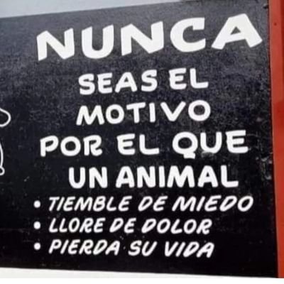 IsoldaSin's profile picture. Simpatizo con la buena gente. Amante de los animales, me horroriza el maltrato y abandono de mascotas. 
Antitaurina radical. No a la caza.