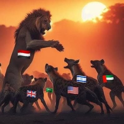 اي شخص ما يعمل متابعة سوف الغي المتابعةبعد اسبوع حسم الامر