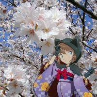 こまき (@mgc_kmk) 's Twitter Profile Photo こまき (@mgc_kmk) 's Twitter Profile Photo