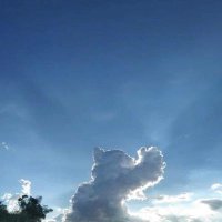 ππ―π³πμ²κ΅¬λ¦πππ€π (@bluecloud3852) 's Twitter Profile