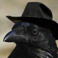 Crowbot || Comms Open!! (@crowbotx) 's Twitter Profile Photo Crowbot || Comms Open!! (@crowbotx) 's Twitter Profile Photo