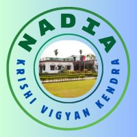 Nadia KVK (@nadiakvk) 's Twitter Profile Photo