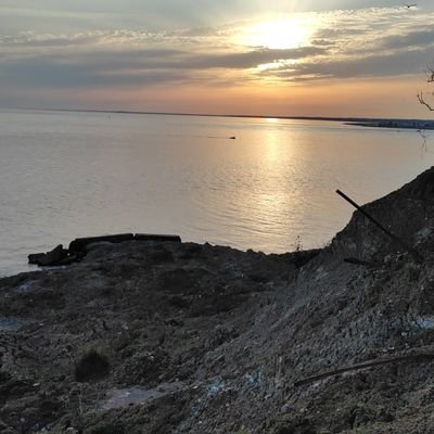 aqua310107's profile picture. 18