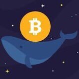 Whale (@whale5712) 's Twitter Profile