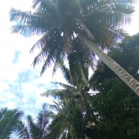 edpe (@recrossma) 's Twitter Profile