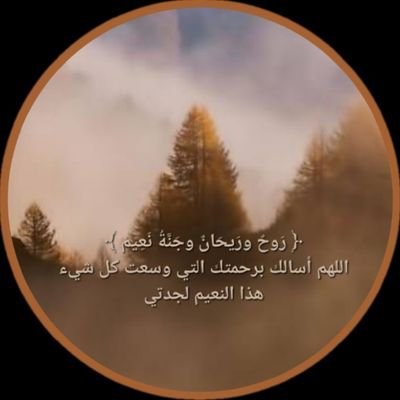 Hilalah_Mygrand's profile picture. اللهم نويت هذا الحساب بمافيه🌧 من آيه وحديث وتفسير وتذكير صدقه جاريه عن جدتي《هلالة الشبيشيري 》فتقبله مني يارب بقبول حسن ولاتحرمها من الأجر وكل من🔃