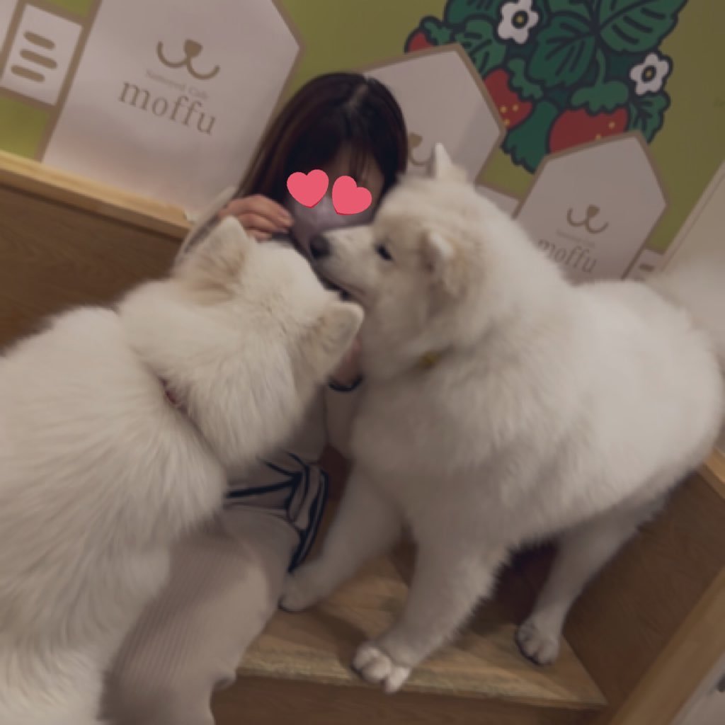 S_moon_13's profile picture. 車･ﾊﾞｲｸ ･F1･MLB ･自然･航空機･音楽･ｱﾆﾒ･海外ﾄﾞﾗﾏ･映画鑑賞が大好き☺︎Belieber☺︎ 現在30代｡ 20代に鬱･不安障害･IBS発症｡13年闘病生活。残りの人生は丁寧に温かく生きたい🌱🐴毎日色んなこと呟いてます｡繋がり励みになります🤝🌈