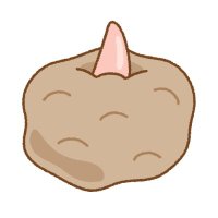 こんにゃっくいも (@marimo2086) 's Twitter Profile