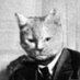 TANKBOT 5000 (@stalinspoon) Twitter profile photo TANKBOT 5000 (@stalinspoon) Twitter profile photo