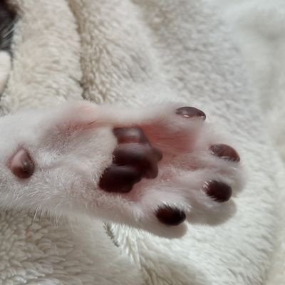 ai (@ai08180720) / Posts / X ai (@ai08180720) / Posts / X