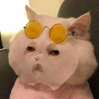 Not_eaJPark's profile picture. i wish i were hater.