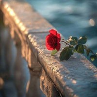 اوراق الورد (@wrqlwrd314) 's Twitter Profile