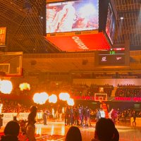 気が付かされたとばいばい (@phily_thunders) Twitter profile photo