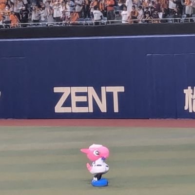 熱狂的中日ファン🐉 | 全力外野応援勢 | ライスタ民 | 愛知竜党 | ファン歴12年 | 現地戦績(OP戦込み) ··· 2024→18勝17敗4分 2025→8勝10敗3分