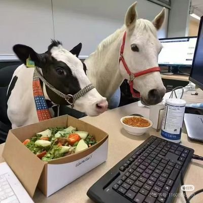 kUmo_Hust's profile picture. living a live.