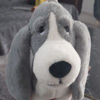 İncirr (@ncirr1) 's Twitter Profile